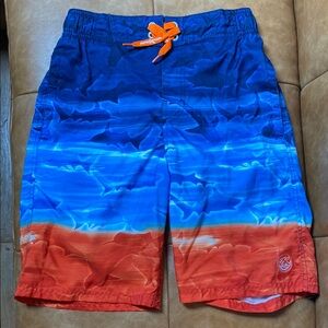 Vibrant Blue and Orange Swim Shorts